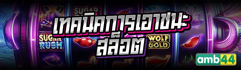 เทคนิคการเอาชนะสล็อต