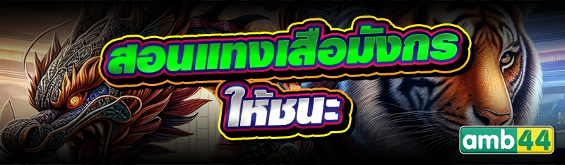 สอนแทงเสือมังกร